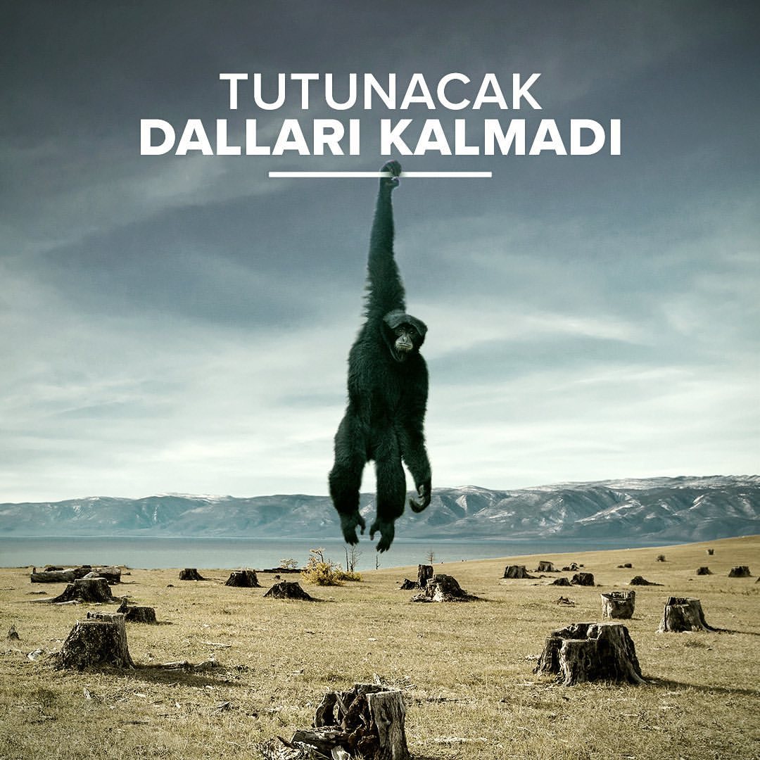 Tutunacak Dalları Kalmadı - Farkındalık Kampanyası
