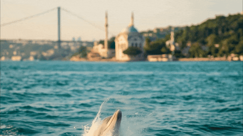 2053'te Türkiye // TVC Filmi